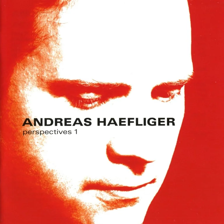Andreas Haefliger | Perspectives 1 (2004)